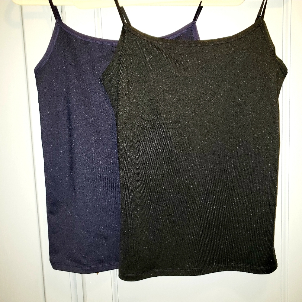 2 Ann Taylor Camisoles